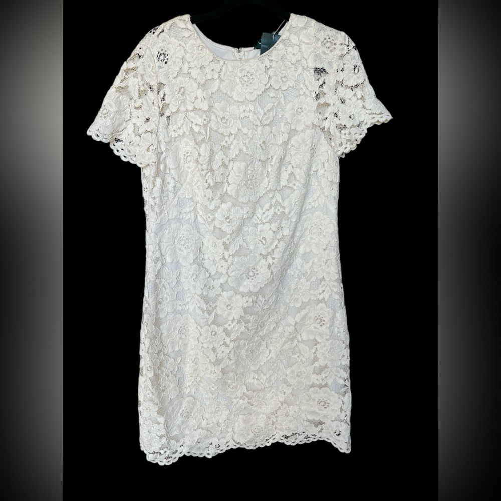 Ralph Lauren Cream Ivory Lace Mini Dress Size 16 (NWT)